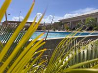 Apartments Diva Flamingo - Bed and Breakfast Barber