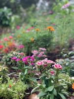 Huis met 3 Slaapkamers