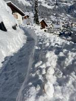 El Cantun - 7 Zimmer Einfamilienhaus mit 200m2 - Ferienwohnung Flims