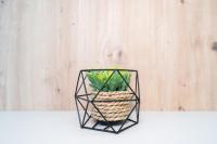 Appartamento con 2 Camere da Letto e Vista Piscina