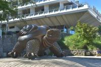 Djuna Majori - B&B Jūrmala