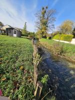 Mon pinot bord de l'eau - B&B Savigny-lès-Beaune