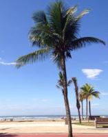 Apartment 12 - 50 Metros da Praia - B&B Praia Grande