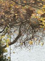 My Apartment - B&B Francoforte sul Meno