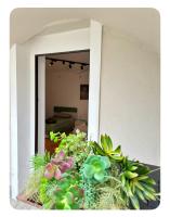 Chambre Triple Confort avec Douche