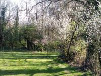 le jouc - Bed and Breakfast Les Epesses