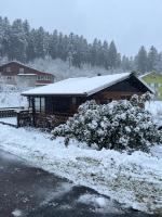 les biches du saut des cuves - Ferienwohnung Xonrupt-Longemer