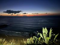 Summer Haze Ericeira - B&B Ericeira