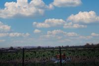 Deluxe Doppel-/Zweibettzimmer