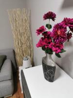 Wohnung Jamie - B&B Haitz