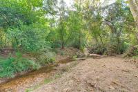Hike & Relax: Tranquil Wooded Escape in Hockley - Chambres d'hôtes Hockley