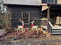A Home for the Holidays - New River Gorge National Park - B&B Edmond