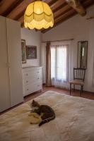 One-Bedroom Apartment (3 Adults)