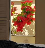 Casa Aconchegante próxima ao Santuário - Ferienwohnung Aparecida