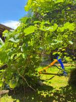 Recanto de Gaia - B&B Ilhabela