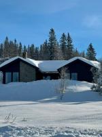 Brand new cabin on the sunny side of Gaustatoppen with a beautiful view - Chambres d'hôtes Tuddal