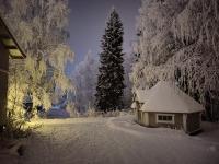 Arctic Aurora Villa with a Lappish Grill Hut - Northern Lights and Private Sledding Hill in the Backyard, in the Hometown of Santa Claus, Rovaniemi - Chambres d'hôtes Rovaniemi