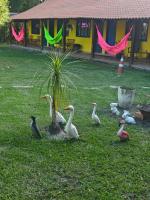 Pousada Araquari Hostel - Ferienwohnung Araquari