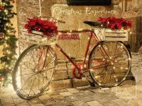 Il Casanova - Chambres d’hôtes Tropea