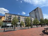 Central apartament II - B&B Šiauliai