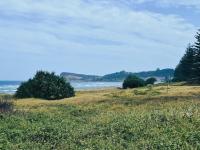 Beachfront Bliss - B&B Lennox Head