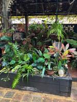 Naracoorte Central Accommodation - B&B Naracoorte