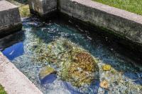 Creekside Fun Dog-friendly, Games & Fire Pit - B&B Morton Grove