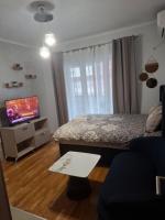 Ljubovic prestige apartment - B&B Podgorica