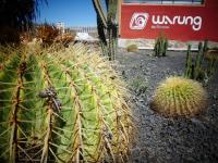 Warung - Chambres d’hôtes Lajares