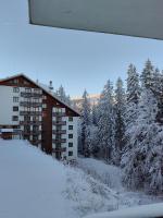 Sunny Mountain View Villa Kometa - B&B Pamporovo