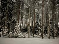 Brand new Arctic snowstar apartment - Chambres d'hôtes Rovaniemi