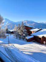 Grand studio au pieds des pistes avec parking privé - B&B Montvalezan