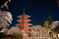 金剛山最勝院 寺泊 - Ferienwohnung Hirosaki