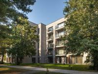 Amber Glow Vanagupė - B&B Palanga