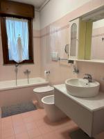 Mono Camelia - B&B Rosate