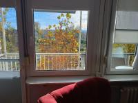 Apartman Kodame - Limanski park - B&B Novi Sad