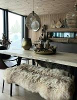 Cabin With Ski Inout And View Of Løefjell - Bed and Breakfast Rysstad