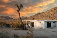 Zebra Shadow By The Cohost Company - B&B Joshua Tree