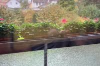 Shumiland in Frankfurt near Messe, Airport - Chambres d’hôtes Francfort-sur-le-Main