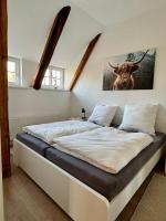 Robbe beim Ochsenturm am Deich - B&B Dingen