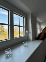 Robbe beim Ochsenturm am Deich - B&B Dingen