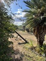 Two-Bedroom Standard Apartment