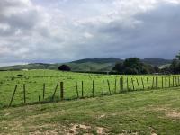 Self check-in double or single rooms of guest house - B&B Te Miro