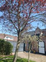 La Réserve, Suite et SPA - Bed and Breakfast Noyelles-sous-Bellonne