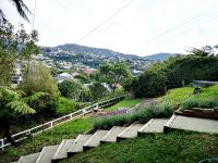 Skyline Urban - Entire Apartment with View, Netflix, Nespresso, and Street Parking - Chambres d'hôtes Wellington