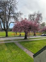 Bright Garden Suite Across From Park in Kitsilano - B&B Vancouver