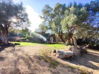 Smeralda Pic House - B&B Arzachena