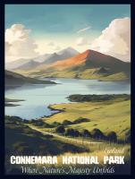 The School Cottage - B&B Moyard