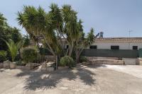 Orange Beach Studio - B&B Marina di Mancaversa