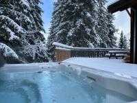 chalet clémentine - B&B La Tania